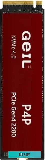 Жесткий диск Geil P4P P4PDC23C1TBA