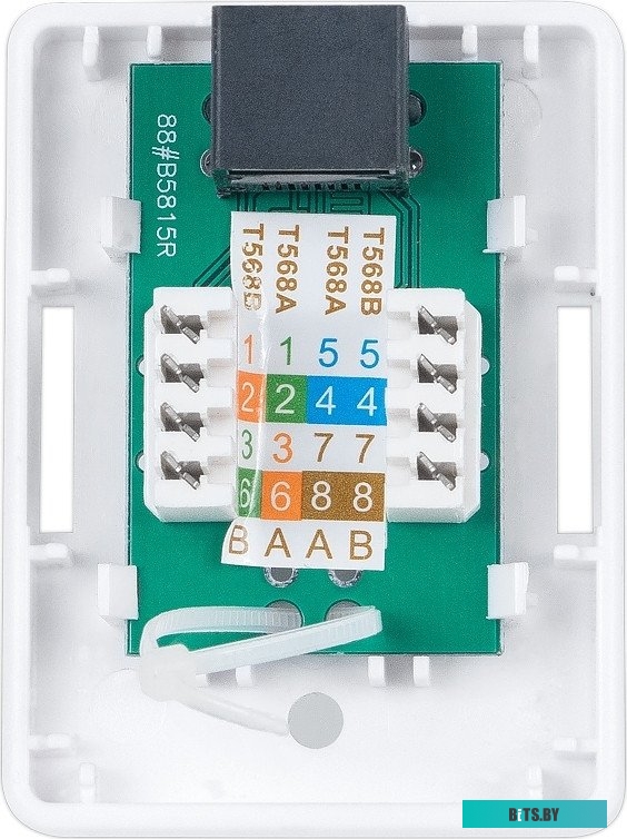 Розетка компьютерная Cabeus RJ-45(8P8C), кат. 6, экранированная, одинарная, внешняя, Dual IDC <WS-8P8C-Cat.6-SH-1>