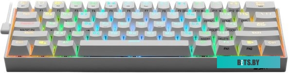 Клавиатура Redragon Draconic RU White 77810