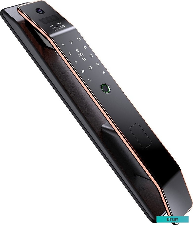 3D face-1 Roome Tuya 3D face intercom Lock 3D face-1 (черный)