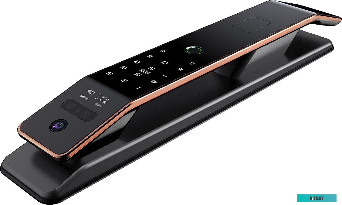 3D face-1 Roome Tuya 3D face intercom Lock 3D face-1 (черный)