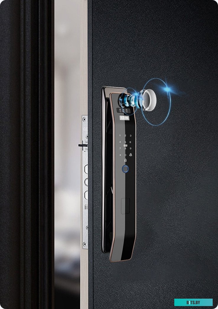 3D face-1 Roome Tuya 3D face intercom Lock 3D face-1 (черный)