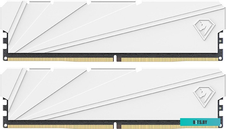 Оперативная память Netac Shadow S 2x16ГБ DDR4 3200 МГц NTSSD4P32DP-32W