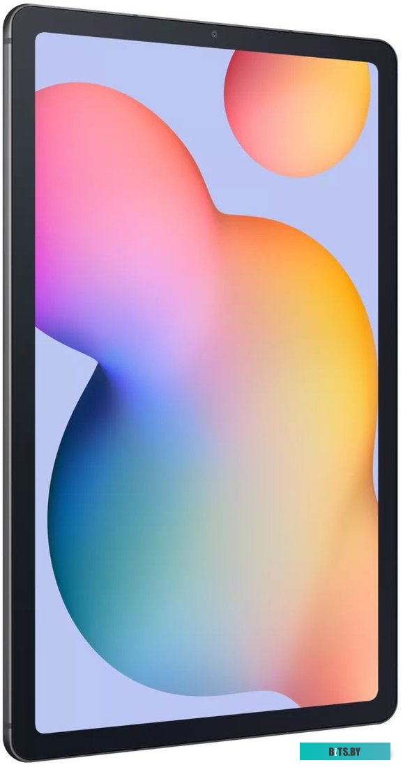 Samsung Galaxy Tab S6 Lite 2024 LTE SM-P625 4GB/64GB (серый)