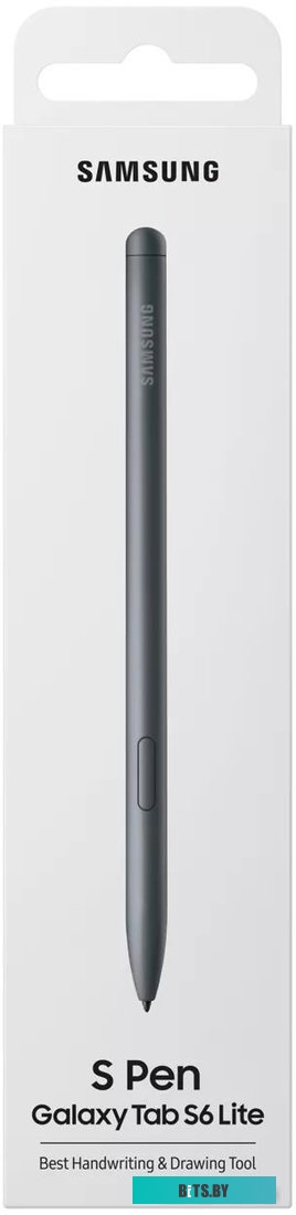 Samsung Galaxy Tab S6 Lite 2024 LTE SM-P625 4GB/64GB (серый)