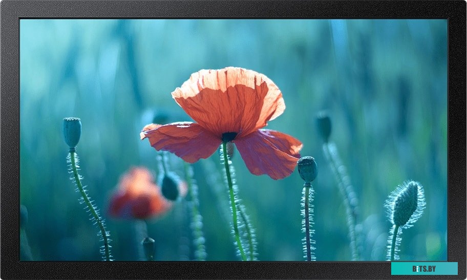 Интерактивный ЖК дисплей 13" Samsung QB13R-TM LH13QBRTMGCXCI
