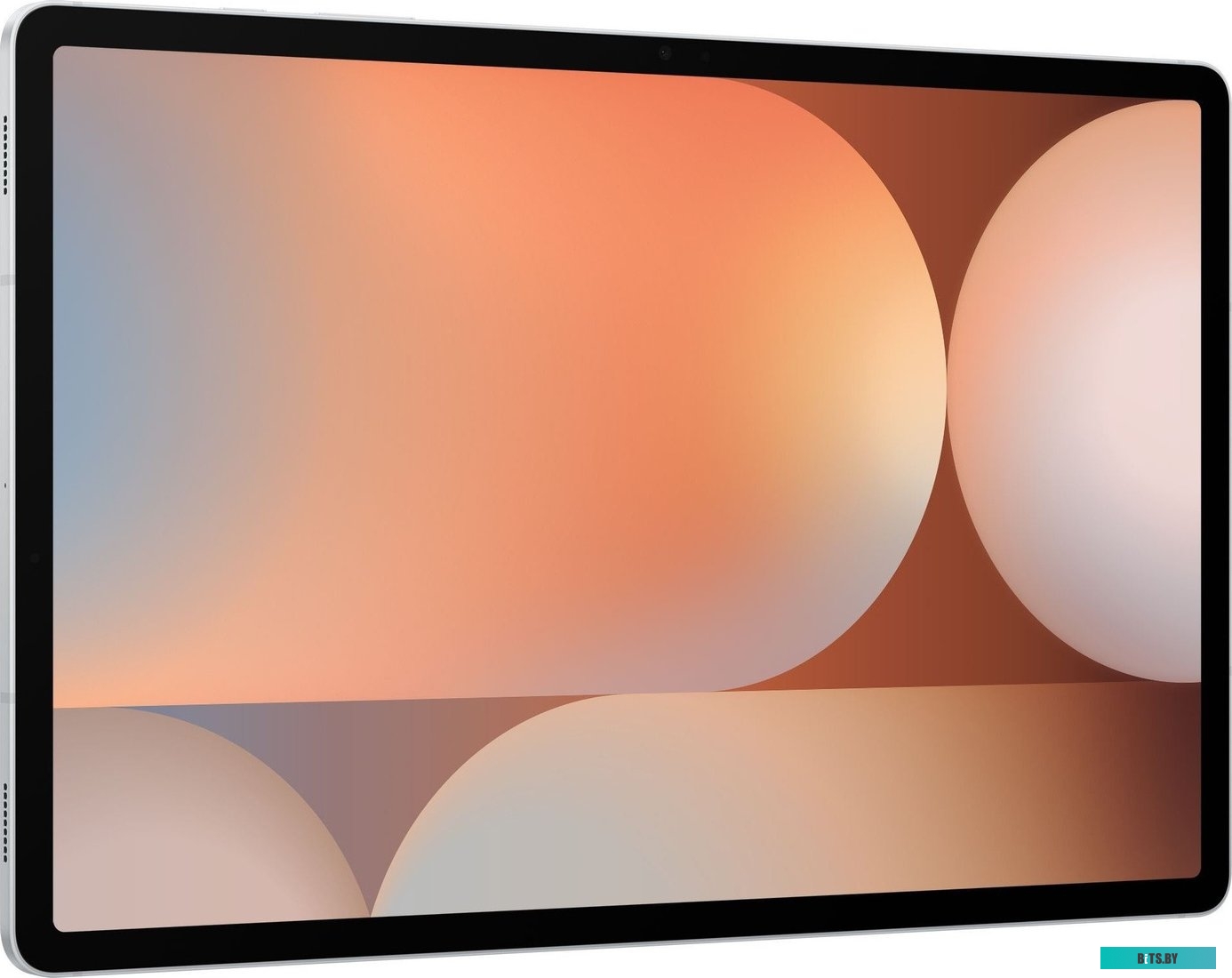 SM-X820NZSPCAU Samsung Galaxy Tab S10+ Wi-Fi SM-X820 12GB/512GB (серебристый)