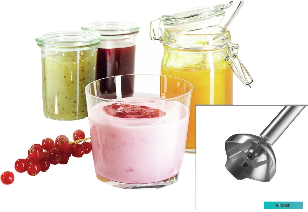 MSM24500 Блендер Bosch CleverMixx MSM24500,  погружной,  белый