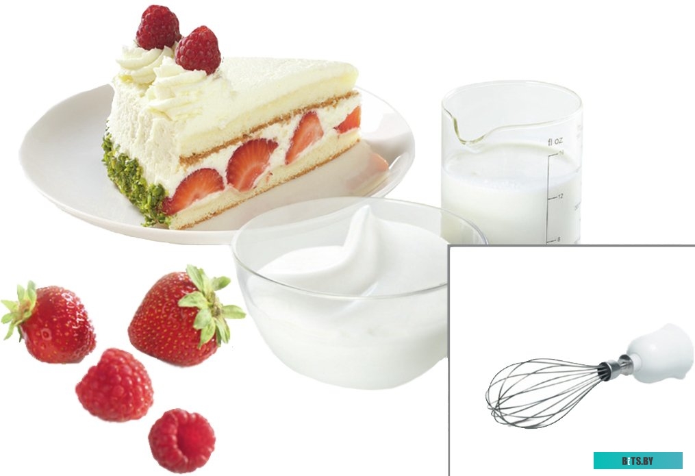 MSM24500 Блендер Bosch CleverMixx MSM24500,  погружной,  белый