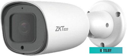 Камера с функцией распознавания номерных знаков ZKTeco ZK-LPR CarID BL-852Q38A-LP