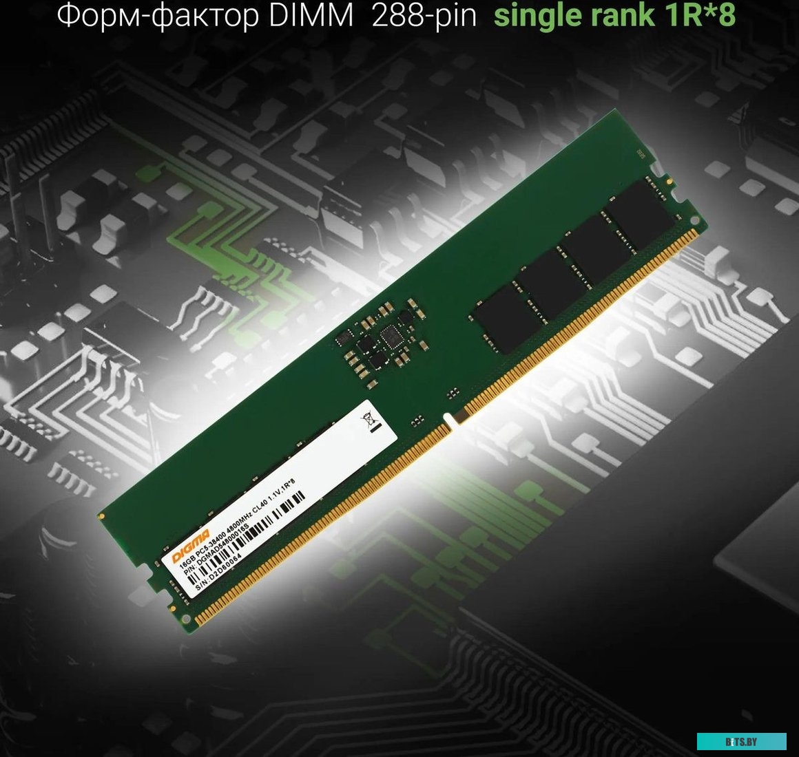 1892552 DGMAD54800016S Digma 16ГБ DDR5 4800 МГц DGMAD54800016S