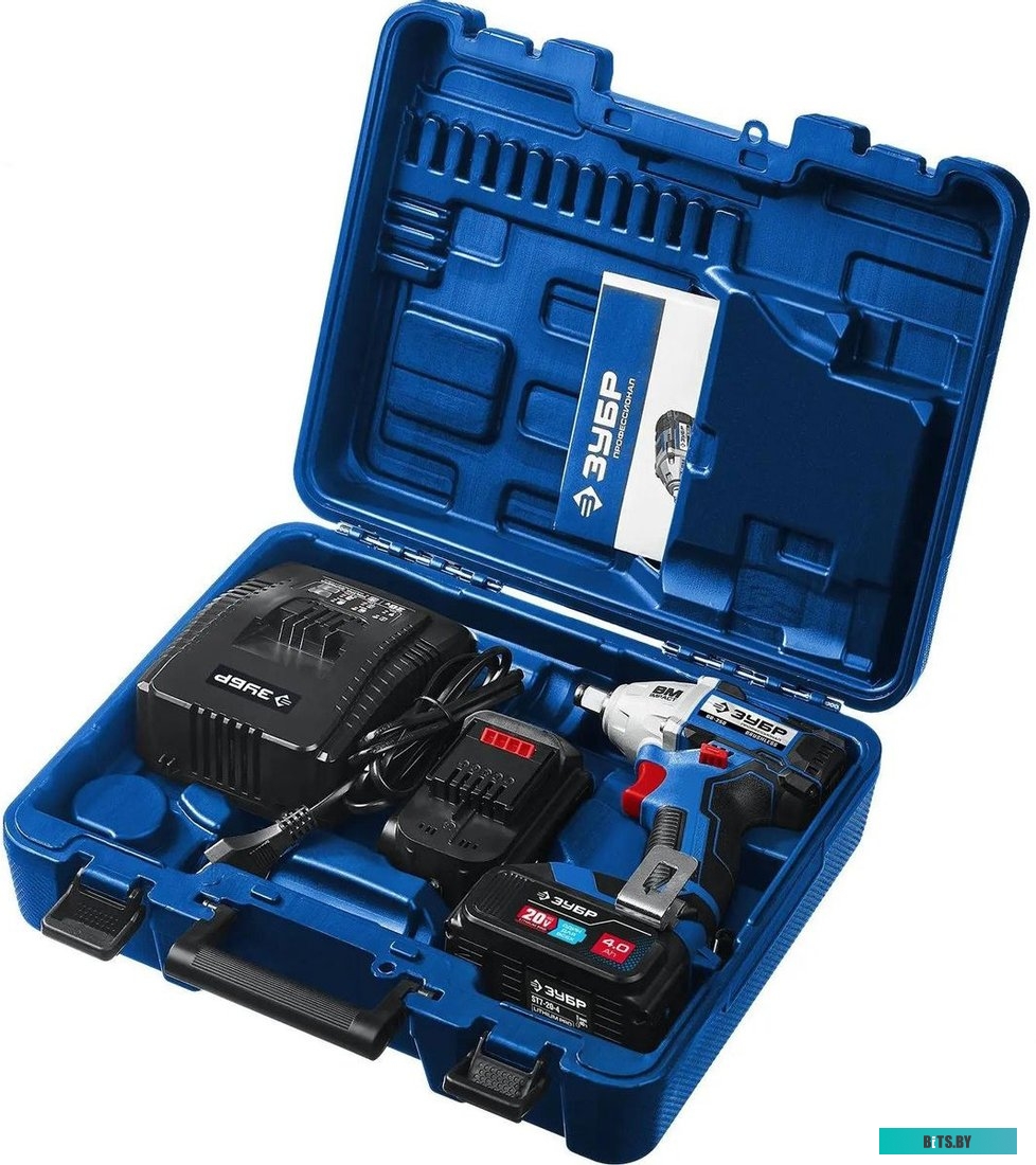 GB-250-42 Зубр GB-250-42 (с 2-мя АКБ, кейс)