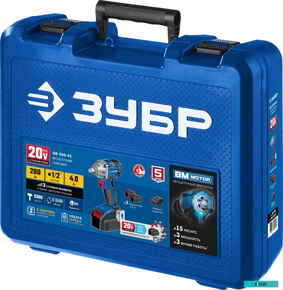 GB-250-42 Зубр GB-250-42 (с 2-мя АКБ, кейс)