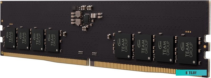 Оперативная память Team Elite 8ГБ DDR5 5600 МГц TED58G5600C4601