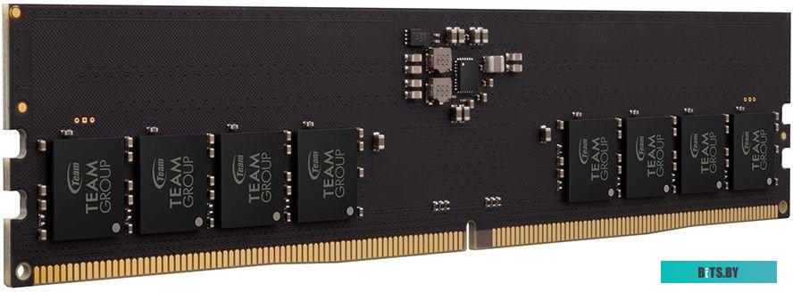 Оперативная память Team Elite 8ГБ DDR5 5600 МГц TED58G5600C4601