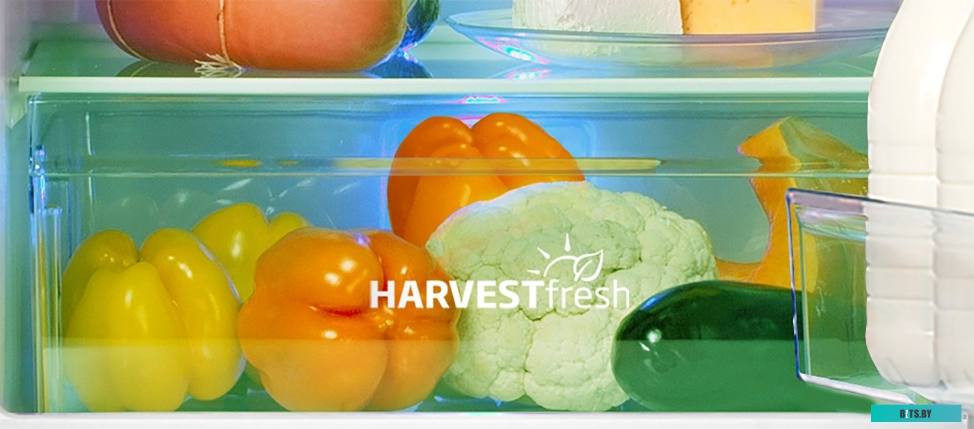 7383510002 Холодильник B3R0CNK312HG 7383510002 BEKO