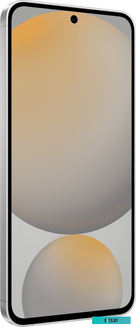 Смартфон Samsung Galaxy S24 FE SM-S721B 8GB/128GB (серый)
