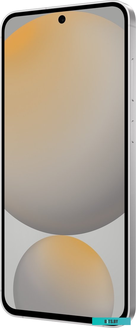 Смартфон Samsung Galaxy S24 FE SM-S721B 8GB/128GB (серый)