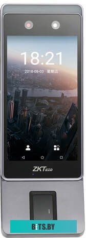 Биометрический терминал учета рабочего времени ZKTeco Horus E1-FP