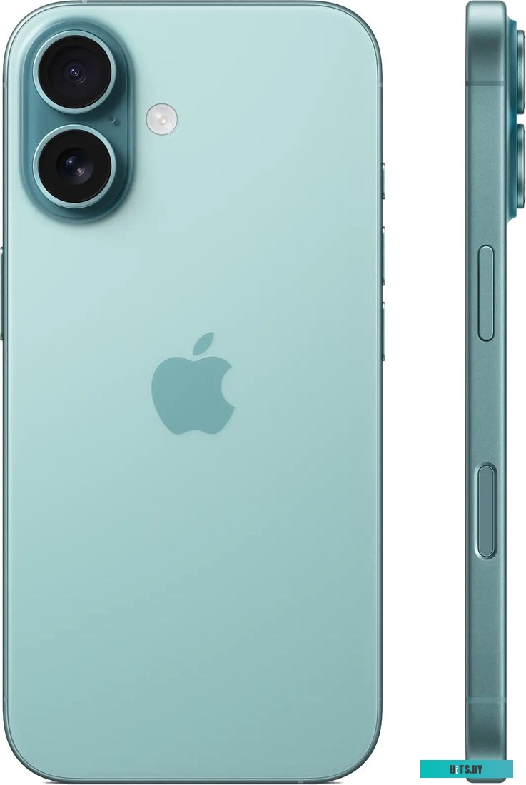 Apple iPhone 16 256GB (бирюзовый)