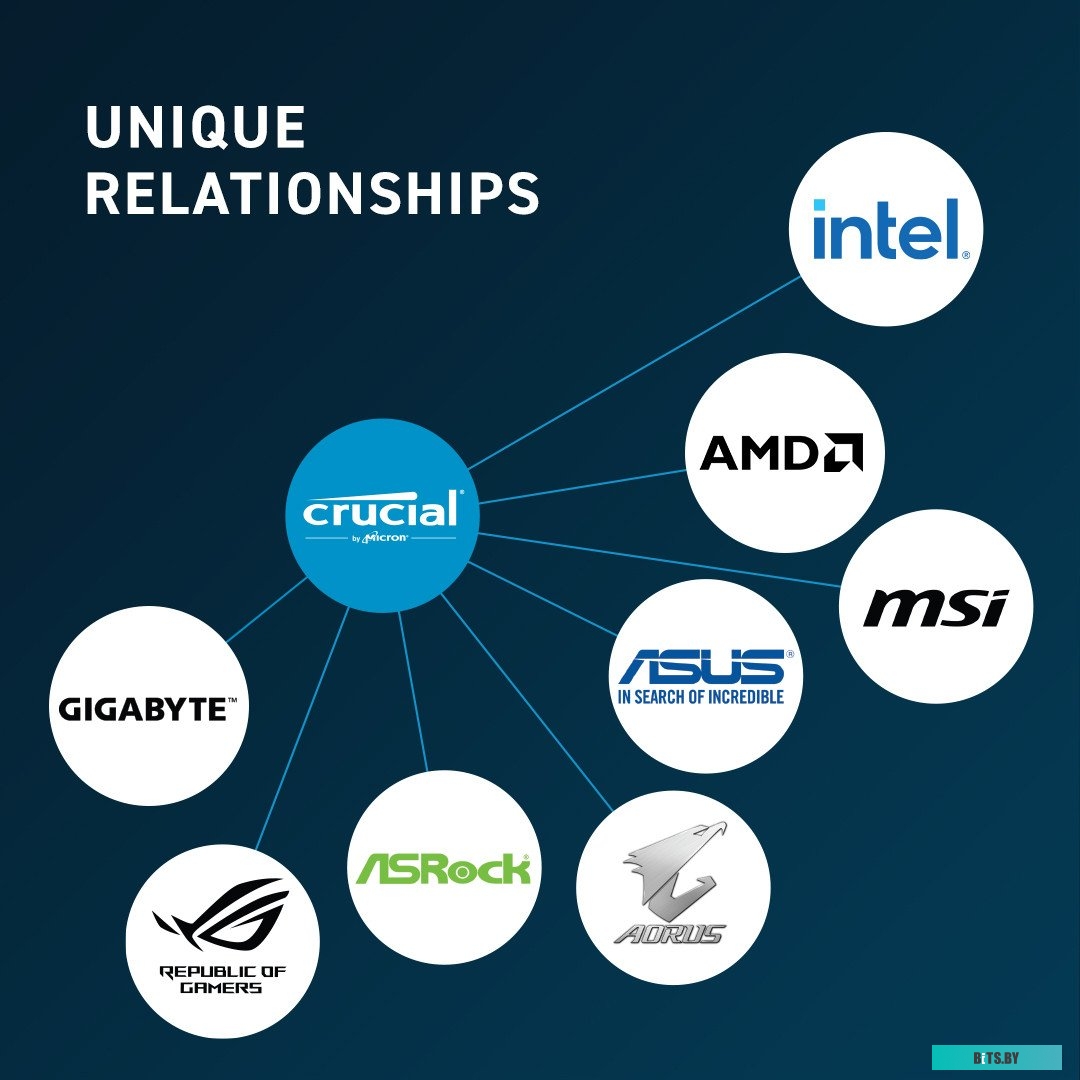 Оперативная память Crucial 32ГБ DDR5 5600 МГц CT32G56C46U5