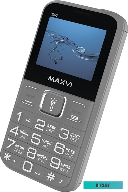 Мобильный телефон Maxvi B200 (серый)