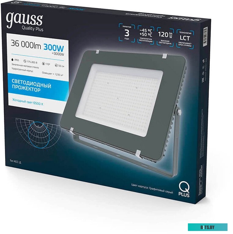 690511310 Прожектор уличный GAUSS 690511310, 10Вт