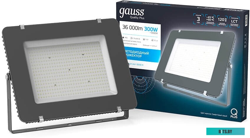 690511310 Прожектор уличный GAUSS 690511310, 10Вт