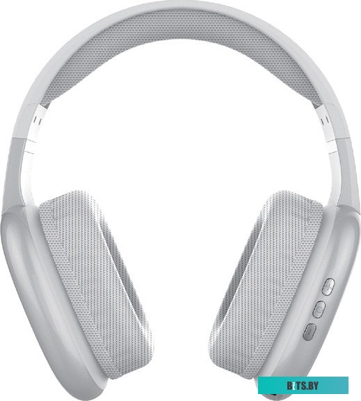 Карта памяти Qumo Sense 43216 (серебристый)