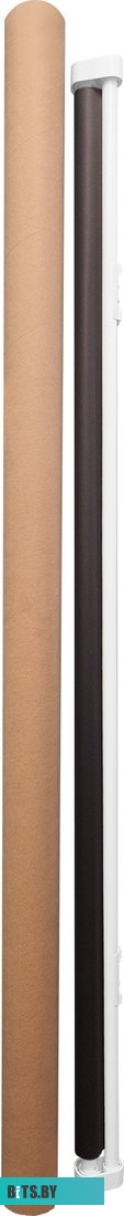 Экран Cactus Map type CS-PSRM-150x150-WT, 150х150 см, 1:1, настенно-потолочный белый