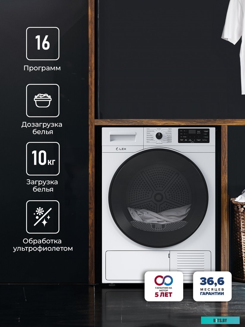 CHKO100017 Сушильная машина LEX LDM10WD 