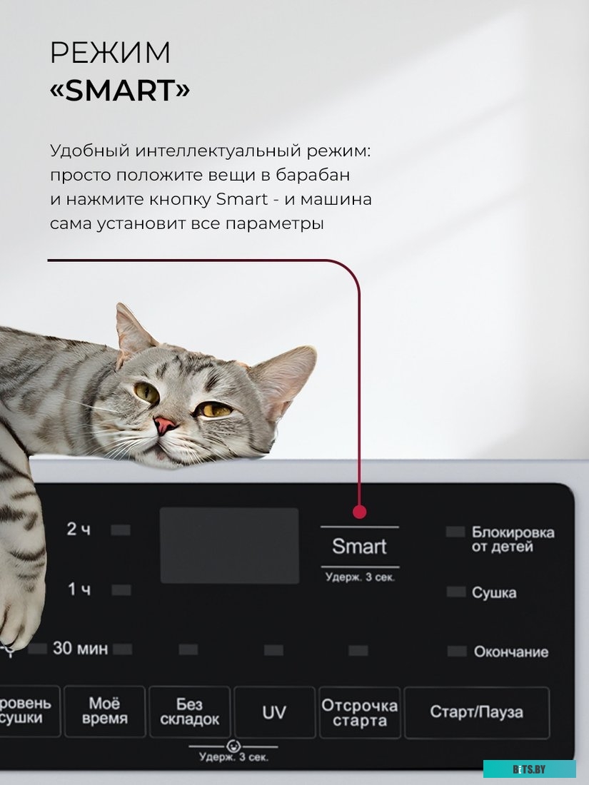 CHKO100017 Сушильная машина LEX LDM10WD 