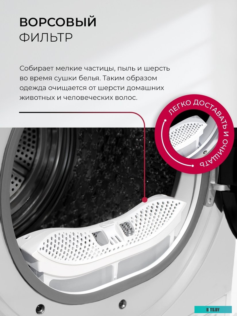 CHKO100017 Сушильная машина LEX LDM10WD 