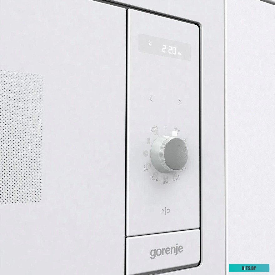 Gorenje BM235G1SYW