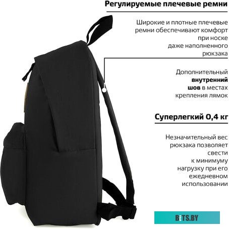 BRAUBERG 225381