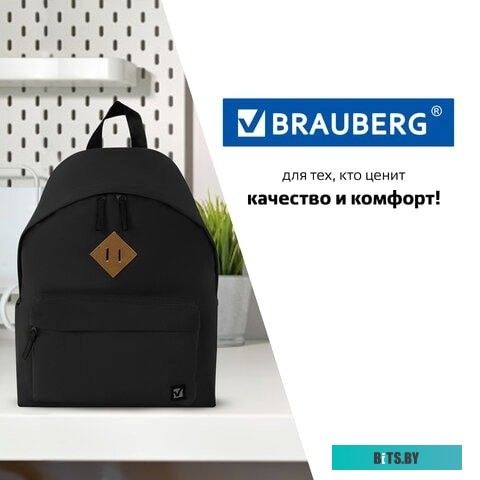 BRAUBERG 225381
