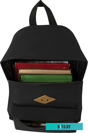 BRAUBERG 225381