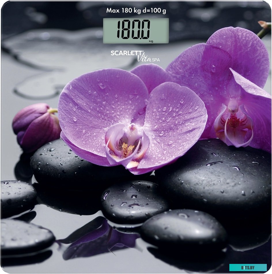 SC-BS33E067 Весы напольные SC-BS33E067 SCARLETT