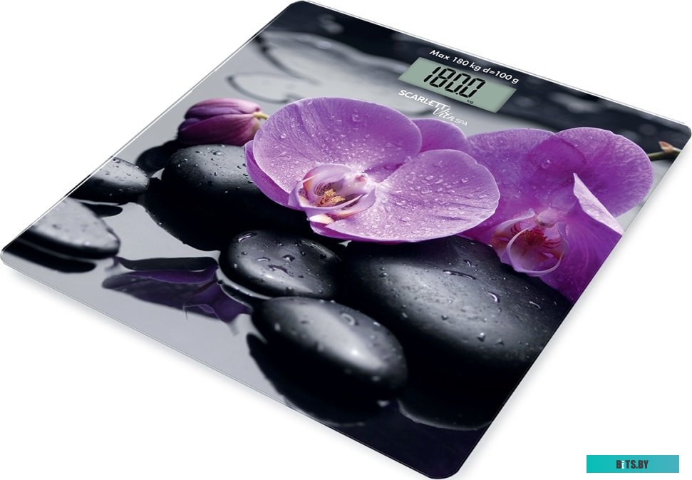 SC-BS33E067 Весы напольные SC-BS33E067 SCARLETT