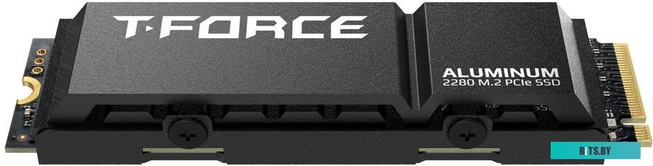 Твердотельный накопитель Team T-Force G70 Pro 2TB TM8FFH002T0C128