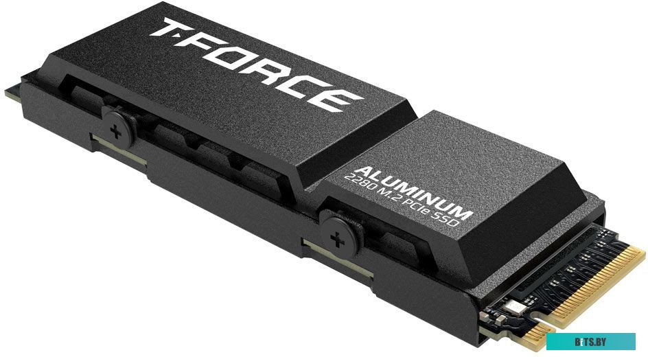 Твердотельный накопитель Team T-Force G70 Pro 2TB TM8FFH002T0C128