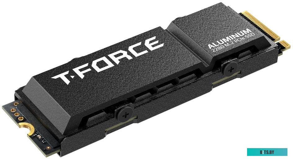 Твердотельный накопитель Team T-Force G70 Pro 2TB TM8FFH002T0C128