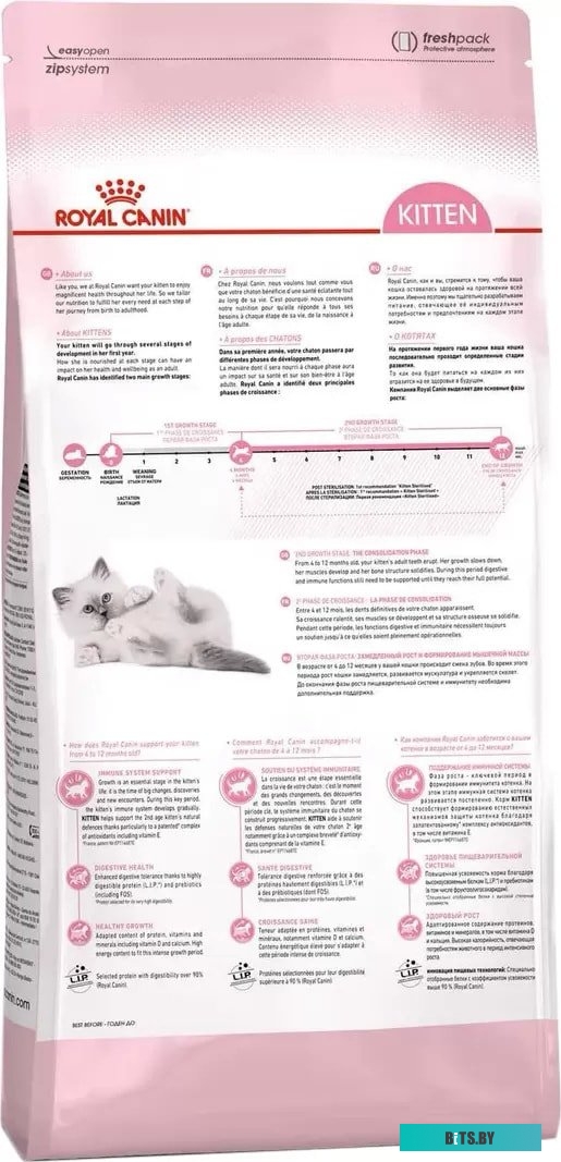 25229000 Вытяжка BO 3606 K4 25229000 GEFEST