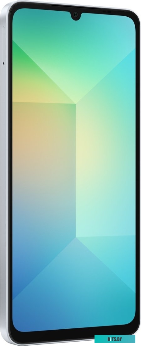 Телефон Samsung Galaxy A06 SM-A065F 4GB/64GB (голубой)