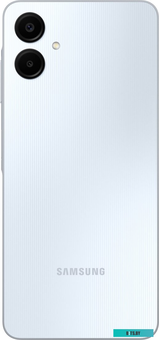Телефон Samsung Galaxy A06 SM-A065F 4GB/64GB (голубой)