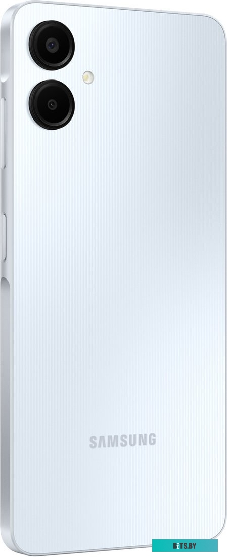 Телефон Samsung Galaxy A06 SM-A065F 4GB/64GB (голубой)