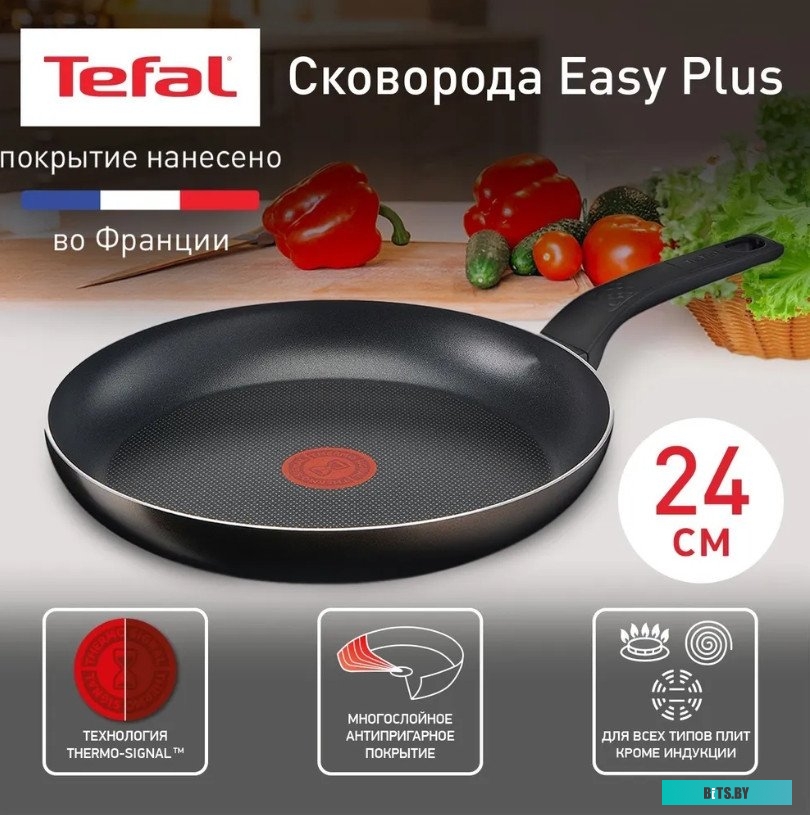 9100054095 Сковорода Tefal Easy Plus Э 04237124, 24см, без крышки,  черный [9100054095]