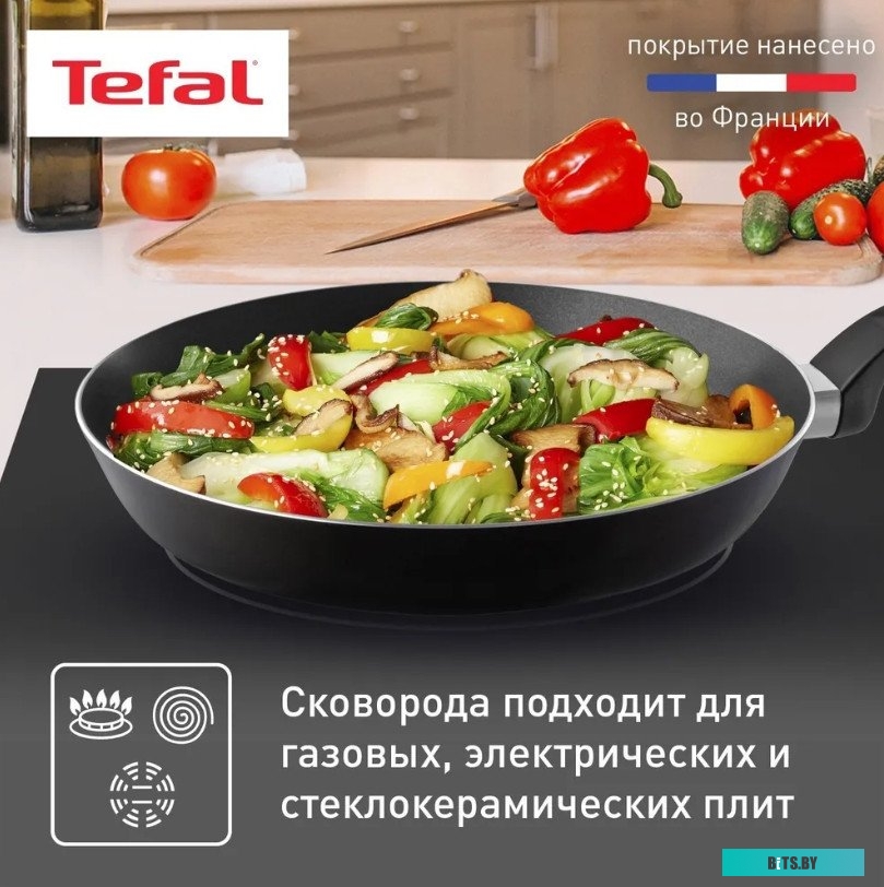 9100054095 Сковорода Tefal Easy Plus Э 04237124, 24см, без крышки,  черный [9100054095]