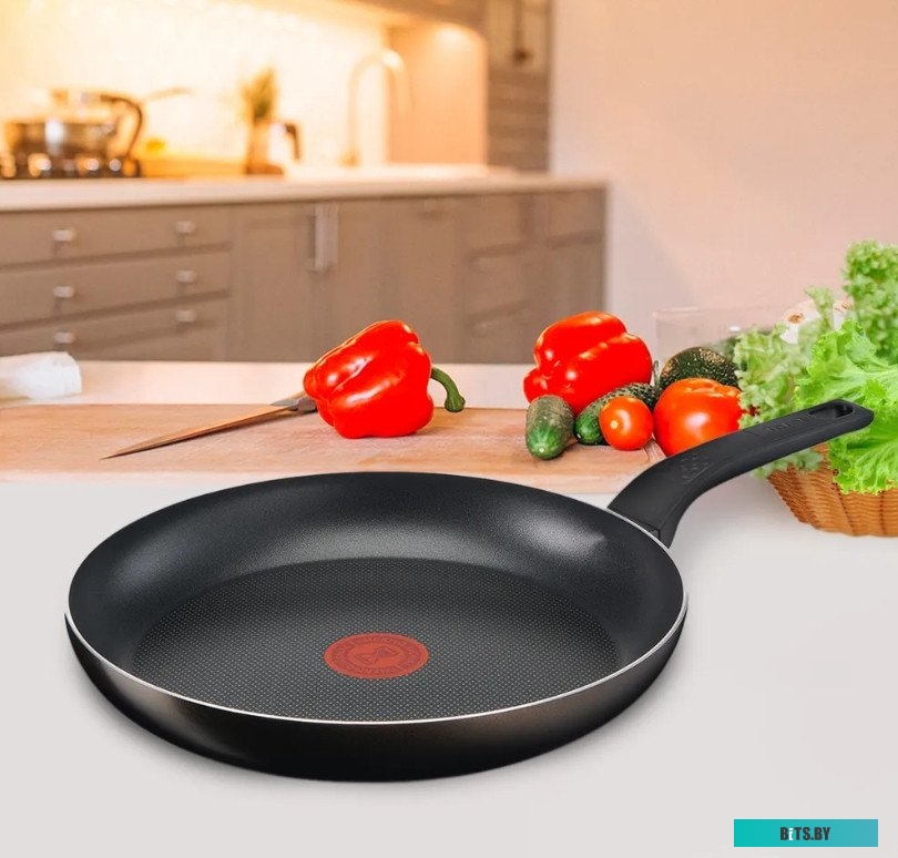 9100054095 Сковорода Tefal Easy Plus Э 04237124, 24см, без крышки,  черный [9100054095]