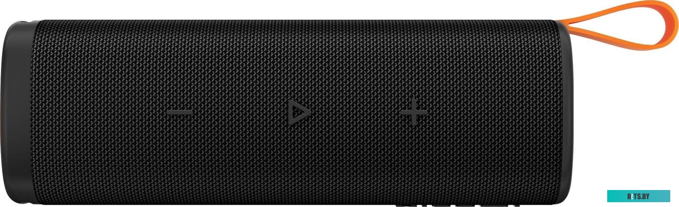 Портативная колонка Xiaomi Sound Outdoor QBH4261GL (черный, международная версия)